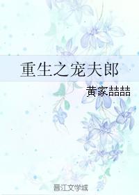 重生之宠夫在线阅读