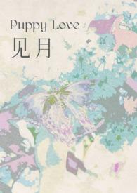 见肿消