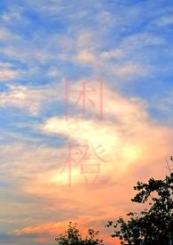 困城蔺观川许枫笔趣阁