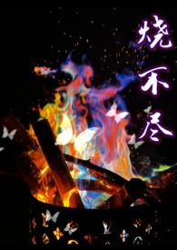 烧不尽TXT