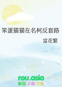 笨猫是什么猫