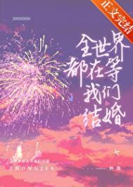 全世界都在等你结婚