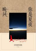 夏夜晚风 歌词