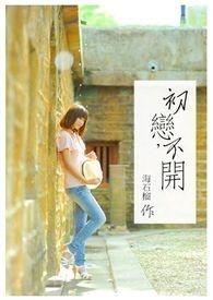 初恋不开挂破解版