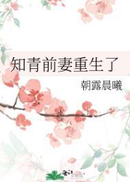 知青的重生