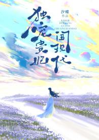 h)_独宠贵. 作者汐蝶更