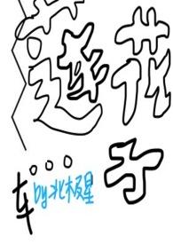 莲花的