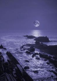 暗夜连载