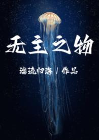 无主之作介绍