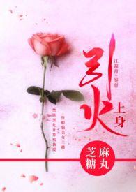 引火上身 在线阅读