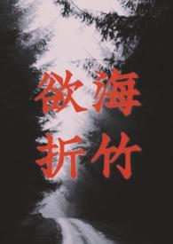 欲海记hp