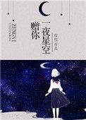 赠你一夜星空TXT