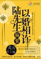陆先生偏要以婚相许txt资源