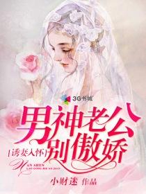 诱妻入怀腹黑老公别乱来