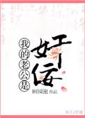 我的老公是奸佞免费阅读