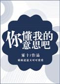 你懂我的意思嘛