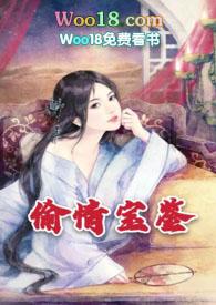 盗情宝书网