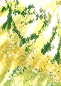 但第三者 番外