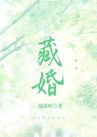 藏婚电视剧在哪看
