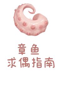 章鱼新书