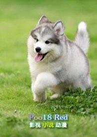 小奶狗免费阅读