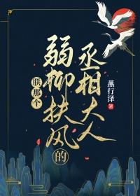 朕那个弱柳扶风的丞相大人讲的