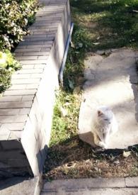 媚欢出轨百无梦忌