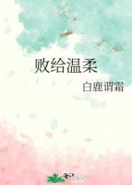 败给温柔江驰