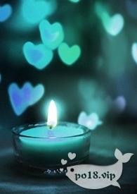 捡来的男人是总裁1v1免费阅读