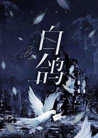 白鸽id