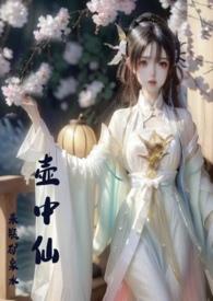 壶中仙银元真品最新价格及图片36克多