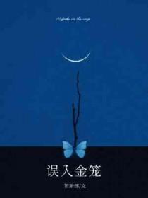 误入金笼贺新郎讲的什么故事