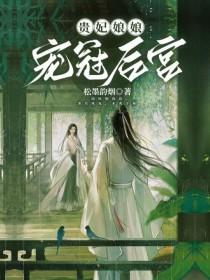 贵妃娘娘什么意思
