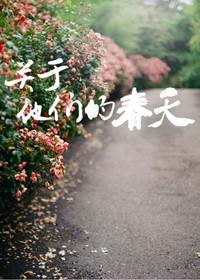 关于他们的那些年完结了吗