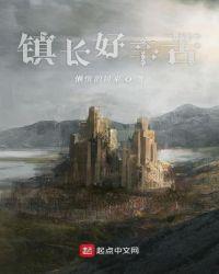 镇长的工作