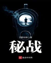 密战无痕免费阅读