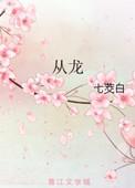 从龙讲的什么