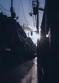 你是我的曙光番外