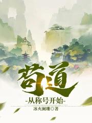 苟到圣人起点