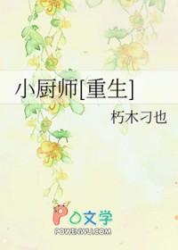 小厨师(重生)