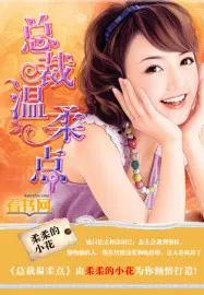总裁你温柔一点