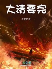 大清之后是什么局面