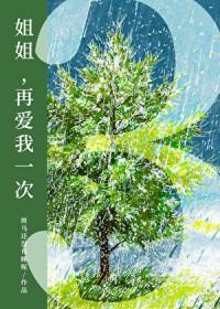 姐姐再爱我一次3百度