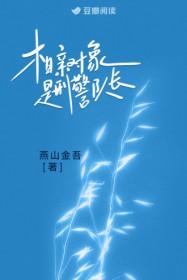 相亲对象是刑警队长by燕山金吾