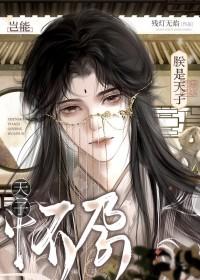 朕是天子岂能怀孕晋江