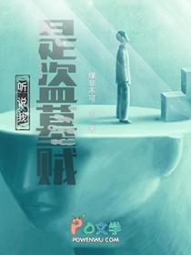 我是个贼盗墓的