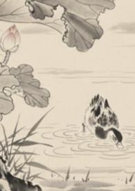 全京城都在等着我崩人设