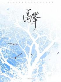 高攀1v 1免费阅读