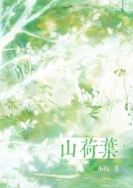 山荷叶的介绍