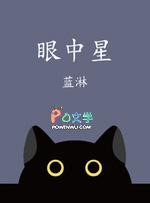 眼中星by蓝淋讲的什么